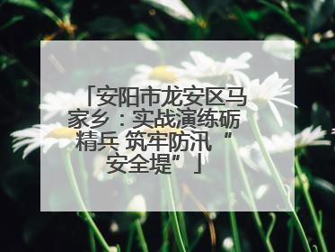 安阳市龙安区马家乡：实战演练砺精兵 筑牢防汛“安全堤”