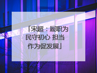 宋超：履职为民守初心 担当作为促发展