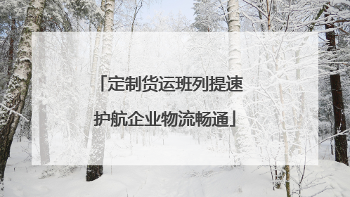 定制货运班列提速 护航企业物流畅通