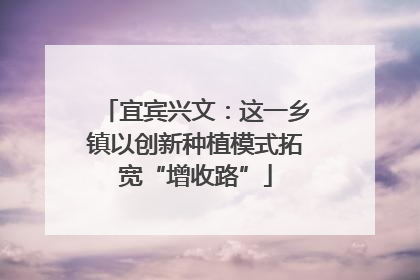 宜宾兴文：这一乡镇以创新种植模式拓宽“增收路”