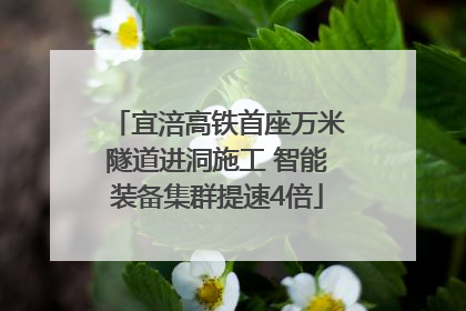 宜涪高铁首座万米隧道进洞施工 智能装备集群提速4倍
