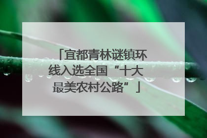 宜都青林谜镇环线入选全国“十大最美农村公路”