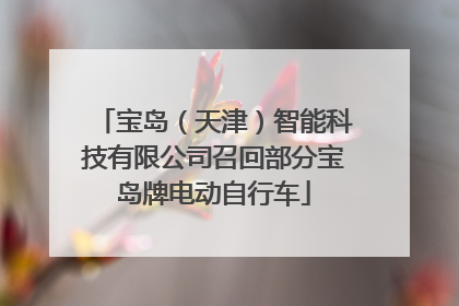 宝岛（天津）智能科技有限公司召回部分宝岛牌电动自行车