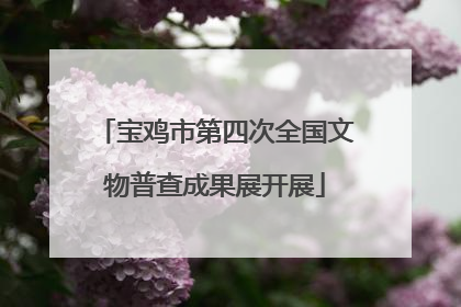 宝鸡市第四次全国文物普查成果展开展