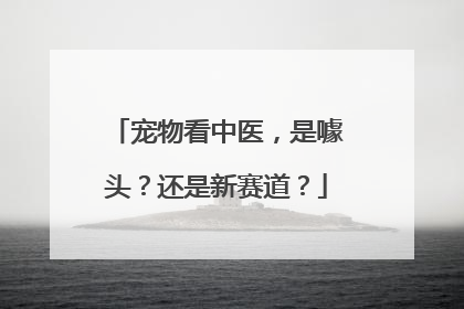 宠物看中医，是噱头？还是新赛道？