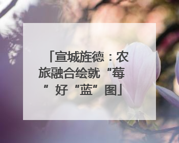 宣城旌德：农旅融合绘就“莓”好“蓝”图