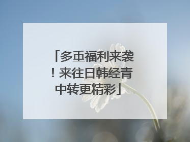 多重福利来袭！来往日韩经青中转更精彩