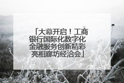大幕开启！工商银行国际化数字化金融服务创新精彩亮相廊坊经洽会