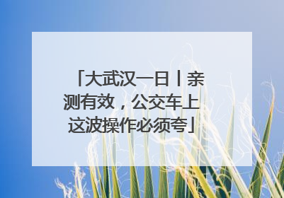 大武汉一日丨亲测有效，公交车上这波操作必须夸