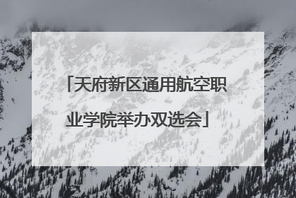 天府新区通用航空职业学院举办双选会