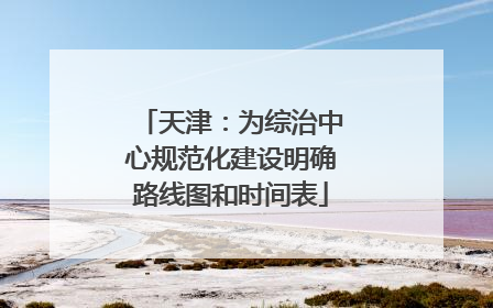 天津：为综治中心规范化建设明确路线图和时间表