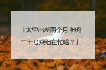 太空出差两个月 神舟二十号乘组在忙啥？