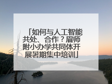 如何与人工智能共处、合作？眉师附小办学共同体开展暑期集中培训
