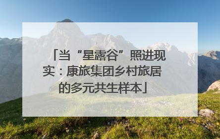 当“星露谷”照进现实：康旅集团乡村旅居的多元共生样本