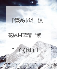 德兴市绕二镇花林村蓝莓“紫”了（图）
