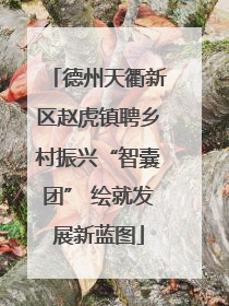 德州天衢新区赵虎镇聘乡村振兴“智囊团” 绘就发展新蓝图
