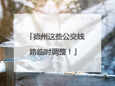 德州这些公交线路临时调整！