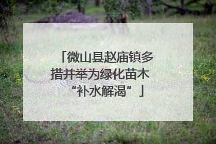微山县赵庙镇多措并举为绿化苗木“补水解渴”