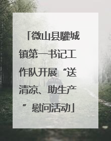 微山县驩城镇第一书记工作队开展“送清凉、助生产”慰问活动