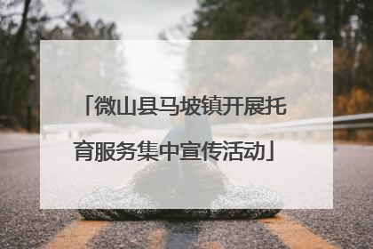 微山县马坡镇开展托育服务集中宣传活动