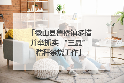 微山县鲁桥镇多措并举抓实 “三夏” 秸秆禁烧工作