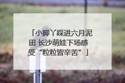 小脚丫踩进六月泥田 长沙萌娃下场感受“粒粒皆辛苦”