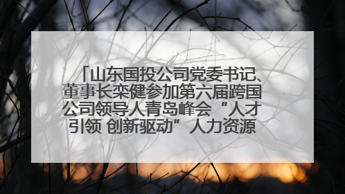 山东国投公司党委书记、董事长栾健参加第六届跨国公司领导人青岛峰会“人才引领 创新驱动”人力资源高质量发展对话会