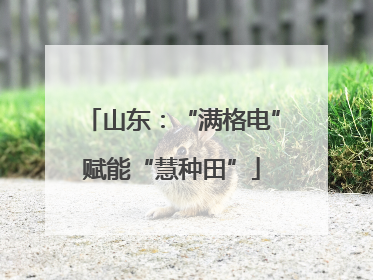 山东：“满格电”赋能“慧种田”
