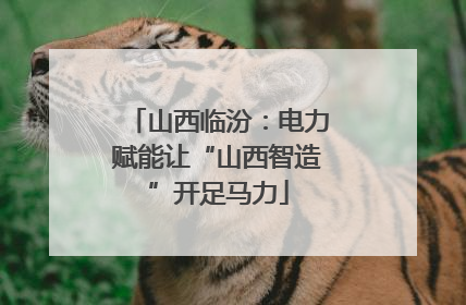 山西临汾：电力赋能让“山西智造”开足马力