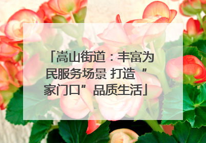 嵩山街道：丰富为民服务场景 打造“家门口”品质生活