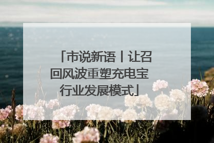市说新语丨让召回风波重塑充电宝行业发展模式