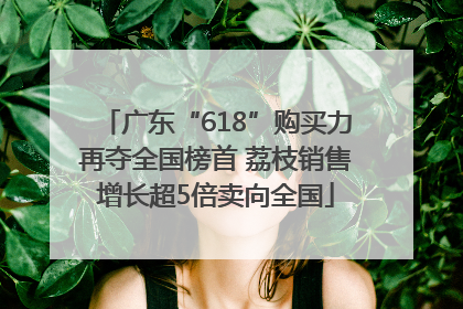 广东“618”购买力再夺全国榜首 荔枝销售增长超5倍卖向全国
