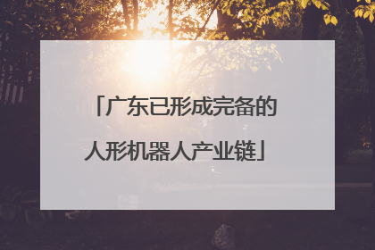 广东已形成完备的人形机器人产业链