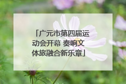 广元市第四届运动会开幕 奏响文体旅融合新乐章