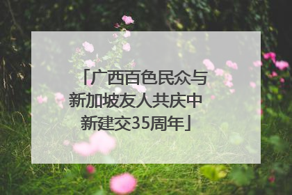 广西百色民众与新加坡友人共庆中新建交35周年