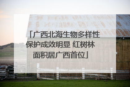 广西北海生物多样性保护成效明显 红树林面积居广西首位