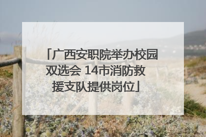 广西安职院举办校园双选会 14市消防救援支队提供岗位