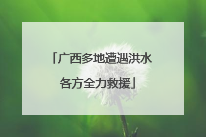 广西多地遭遇洪水 各方全力救援