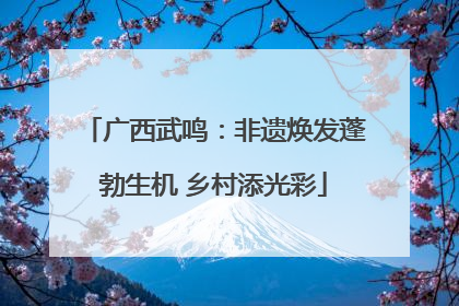 广西武鸣：非遗焕发蓬勃生机 乡村添光彩