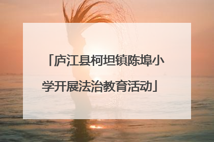 庐江县柯坦镇陈埠小学开展法治教育活动