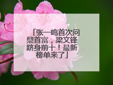 张一鸣首次问鼎首富，梁文锋跻身前十！最新榜单来了