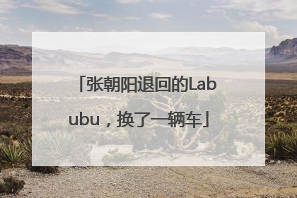 张朝阳退回的Labubu，换了一辆车