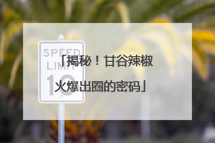 揭秘！甘谷辣椒火爆出圈的密码
