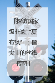 探访国家级非遗“夏布绣”：指尖上的丝线传奇