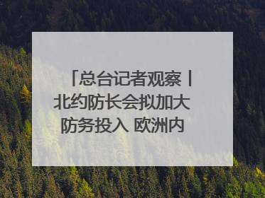 总台记者观察丨北约防长会拟加大防务投入 欧洲内部分歧难掩