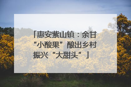 惠安紫山镇：余甘“小酸果”酿出乡村振兴“大甜头”