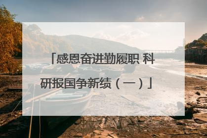 感恩奋进勤履职 科研报国争新绩（一）