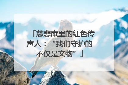 慈悲庵里的红色传声人：“我们守护的不仅是文物”