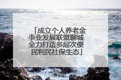 成立个人养老金事业发展联盟聊城全力打造多层次便民利民社保生态