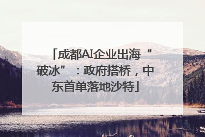 成都AI企业出海“破冰”：政府搭桥，中东首单落地沙特